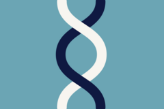 attract gig contingent talent