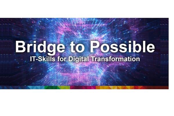 skills bridge to possible image